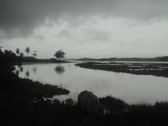 LAGOA DE LAMARO DO PASSE-FOTO:MARION THIEME - LAMARO DO PASSE - BA