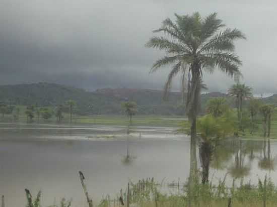 LAGOA DE LAMARO DO PASSE-FOTO:MARION THIEME - LAMARO DO PASSE - BA