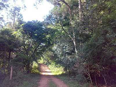 ESTRADA RURAL-FOTO:INAJARA - MATO CASTELHANO - RS