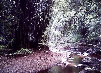 RIO LAJEADO-POR RAFASPADA - MONTAURI - RS