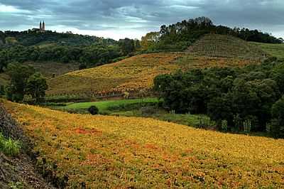 VALE DOS VINHEDOS - MONTE BELO DO SUL, POR GERMANO SCHR - MONTE BELO DO SUL - RS