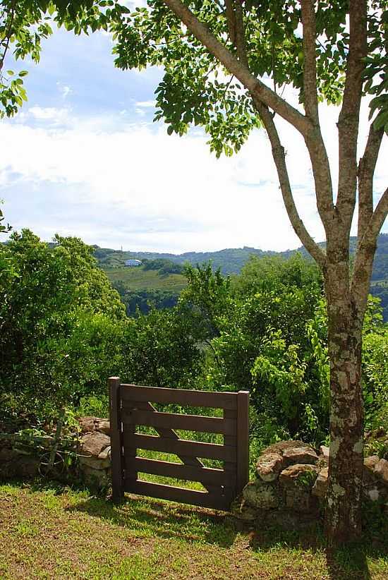 MONTE BELO DO SUL-RS-MUSEU DA FAMLIA TASCA-FOTO:ANELISE KUNRATH  - MONTE BELO DO SUL - RS