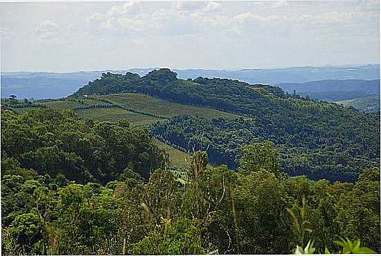 MONTE BELO DO SUL-RS-VISTA DOS PARRERAIS-FOTO:ANELISE KUNRATH - MONTE BELO DO SUL - RS