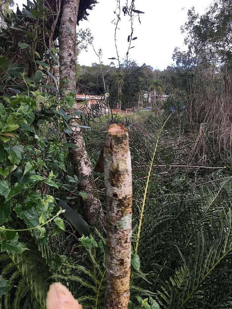 IMAGENS DO MUNICPIO DE MONTE BONITO/RS - MONTE BONITO - RS