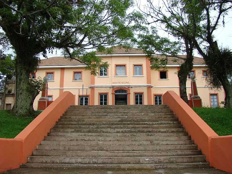ESTRELA - RS CIDADE DAS ARTES - MONTENEGRO - RS