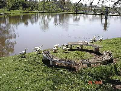PARQUE CENTENRIO-REVERENDO_POA - MONTENEGRO - RS