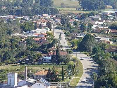 AV.JACARAND-FOTO:RONALD EVALDO  - MORRO REDONDO - RS