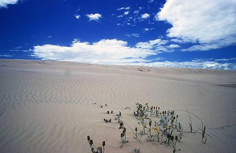 DUNAS - POR  BPBUENO - MOSTARDAS - RS