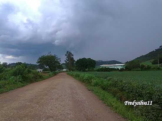 REA RURAL DE NOVA ALVORADA-FOTO:FREDYSILVA11 - NOVA ALVORADA - RS