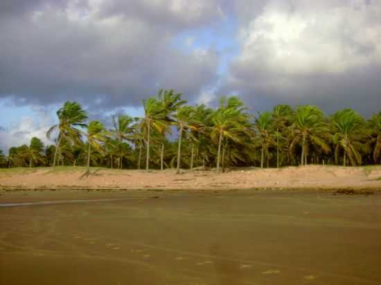 ALAGOAS, POR FELIZ DESERTO - FELIZ DESERTO - AL