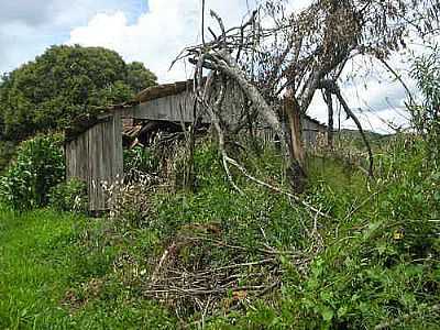 ANTIGO GALPO COLONIAL-POR MARCOS ZAUZA - NOVA BASSANO - RS