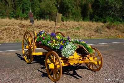 VENDAS DE FLORES, NOVA PETRPOLIS-RS,  POR ANELISE  KUNRATH - NOVA PETRPOLIS - RS