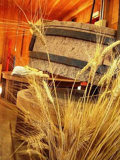 MUSEU RASCHE-POR JAKZA - NOVA PETRPOLIS - RS