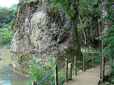 TRILHA PARA A CACHOEIRA-FOTO:DARLAN CORRAL  - NOVA PRATA - RS