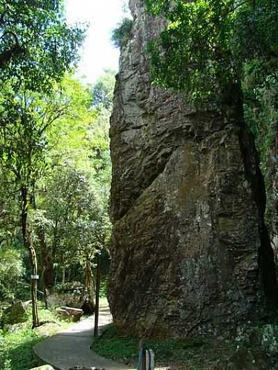 TRILHA-FOTO:DARLAN CORRAL  - NOVA PRATA - RS