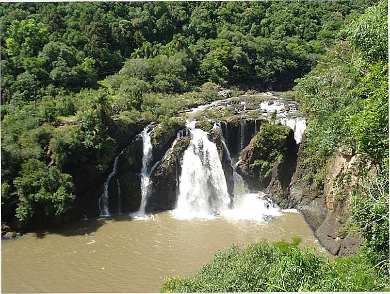 NOVA PRATA-RS-CASCATA DA USINA NA FLORESTA MUNICIPAL,JUNTO AO PARQUE CALDAS DE PRATA-FOTO:WWW.NOVAPRATARS.COM.BR - NOVA PRATA - RS