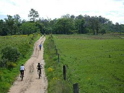 REA RURAL-FOTO:ARCHIMEDES (MEDI) - NOVA SANTA RITA - RS