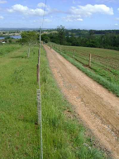 ESTRADA RURAL-FOTO:ARCHIMEDES (MEDI) - NOVA SANTA RITA - RS