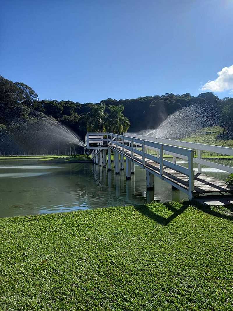 IMAGENS DA LOCALIDADE DE NOVA SARDENHA - RS - NOVA SARDENHA - RS
