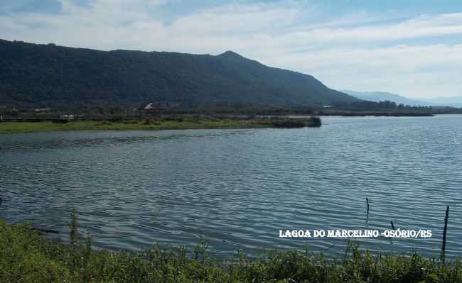 PRXIMO AO CENTRO,  A LAGOA DO MARCELINO, POR NELLYCARDOSO - OSRIO - RS