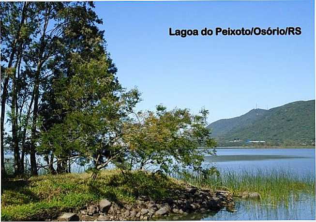 LAGOA DO PEIXOTO, POR NELLYCARDOSO - OSRIO - RS