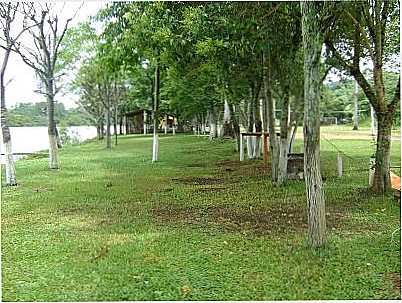 BOSQUE DAS GUABIROBAS, POR CESAR TOTTI - PAIM FILHO - RS