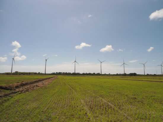 PARQUE EOLICO FAZENDA DO ROSARIO PALMARES DO SUL, POR FLAVIO COSTA LIMA - PALMARES DO SUL - RS