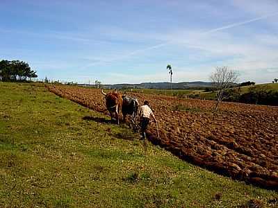 VISTA RURAL-LICEO PIOVESAN - PAROB - RS