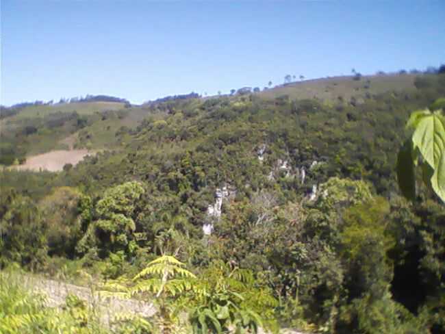 INTERIOR PASSA SETE RONCADOR CANION COBRA BRAVA - POR TAS SLIM - PASSA SETE - RS