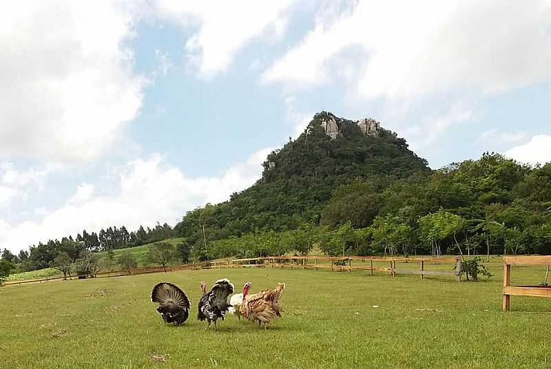 RECANTO DO ITACOLOMY EM PASSO DO SOBRADO RS - PASSO DO SOBRADO - RS