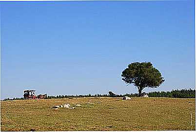PAISAGEM-ESTNCIA TARUM-FOTO:ANELISE KUNRATH - PEDRAS ALTAS - RS