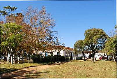  PEDRAS ALTAS-RS, , POR ANELISE  KUNRATH - PEDRAS ALTAS - RS