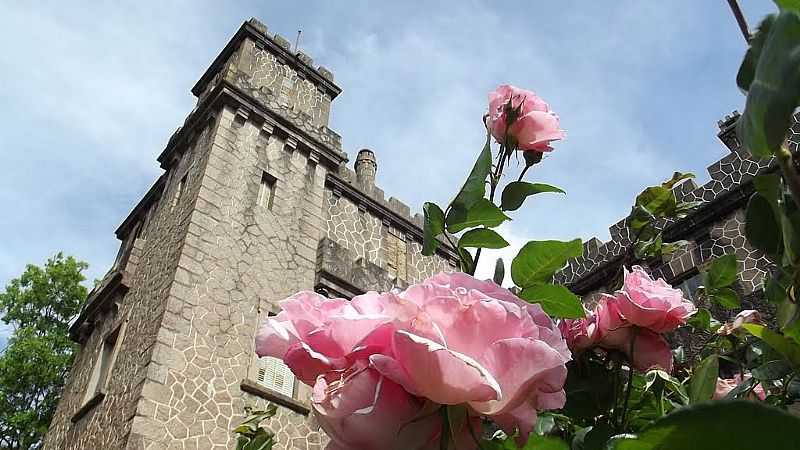 PEDRAS ALTAS-RS-CASTELO ASSIS BRASIL-FOTO:UBIRAJARA CRUZ  - PEDRAS ALTAS - RS