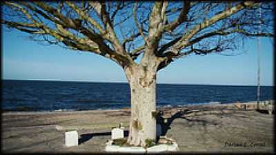 PRAIA DO LARANJAL-FOTO:DARLAN CORRAL  - PELOTAS - RS