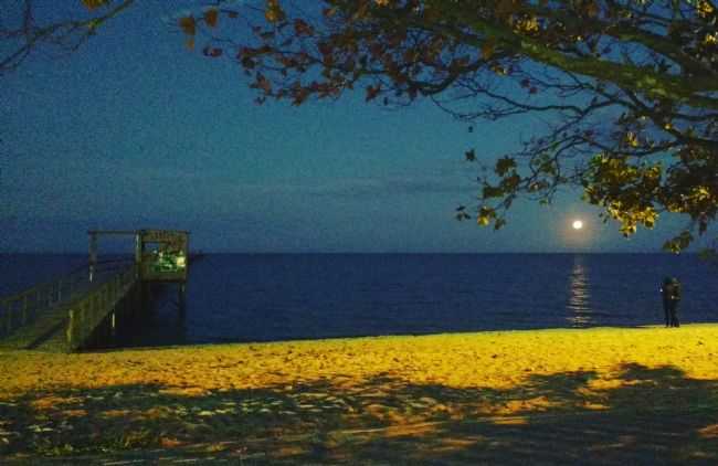 POR DO SOL  TRAPICHE DA PRAIA DO LARANJAL, POR DENISE WEIKAMP MARTINELLI - PELOTAS - RS