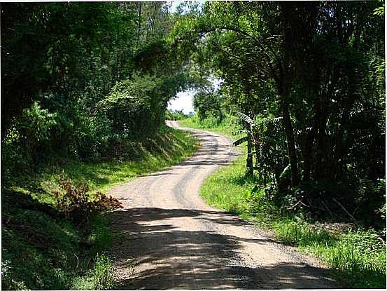17 CAMINHOS E TRILHAS, POR GILBERTO ALMADA - PICADA CAF - RS