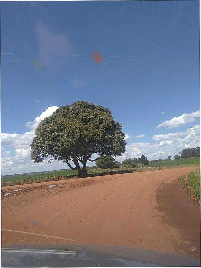 ENCRUZILHADA DA LOCALIDADE DE CRUZINHA, ACESSO PARA A VILA DE PINHEIRO MARCADO. - PINHEIRO MARCADO - RS