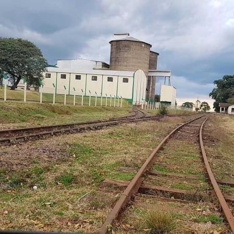 FOTO DE ERNESTO ZANETTE - PINHEIRO MARCADO - RS