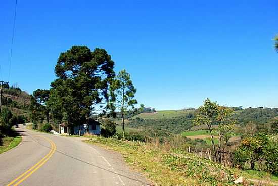 PAISAGEM FOTO POR ANELISE KUNRATH (PANORAMIO) - PINTO BANDEIRA - RS