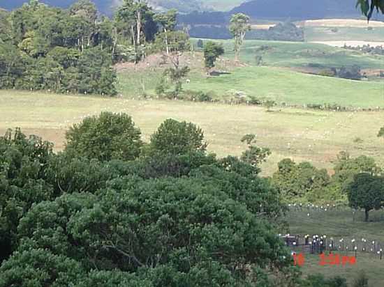 PROPRIEDADE RURAL EM SOUTO NETO,PONTE PRETA-RS-FOTO:ELTONSTRADA - PONTE PRETA - RS