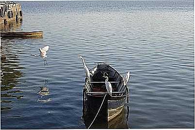 LAGO GUABA- OTAZU - PORTO ALEGRE - RS