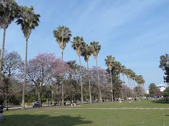 VISTA DO PARQUE FARROUPILHA EM PORTO ALEGRE-RS-FOTO:PAULO YUJI TAKARADA - PORTO ALEGRE - RS