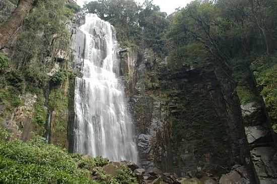CASCATA DO MOINHO EM PROGRESSO-FOTO:GIONATANNICOLINI - PROGRESSO - RS