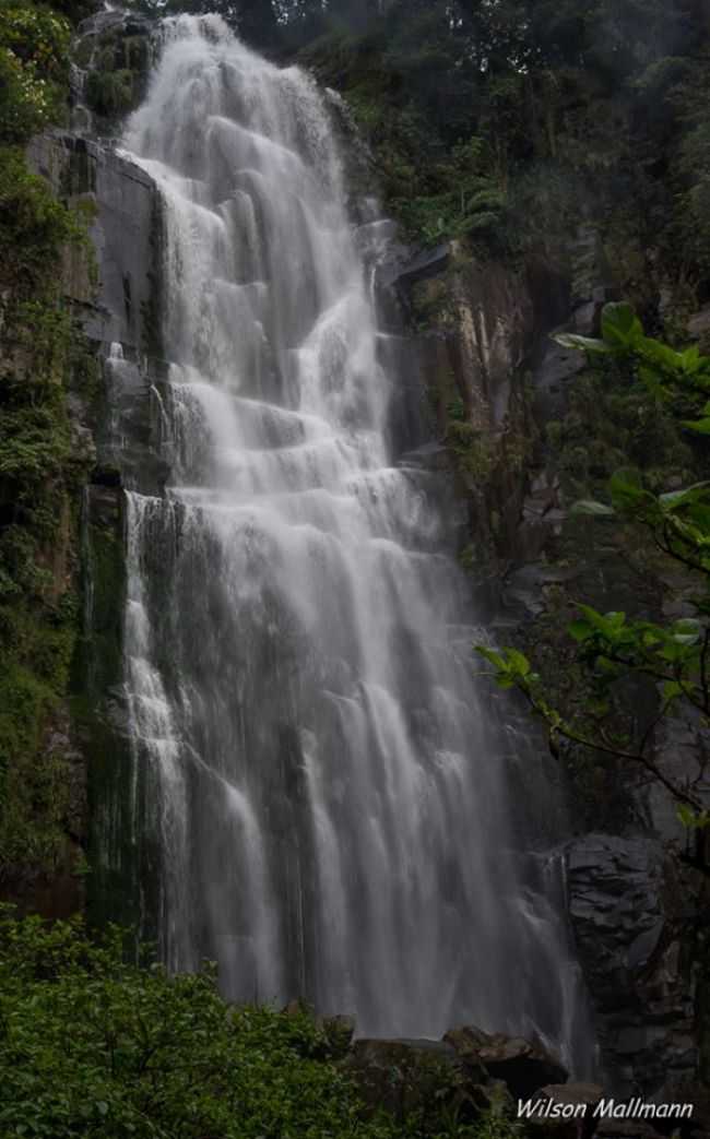 CASCATA DO MOINHO - PROGRESSO - RS, POR SIMONE BERT - PROGRESSO - RS