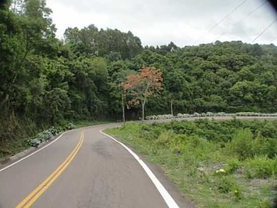 RODOVIA EM PROGRESSO-RS - PROGRESSO - RS