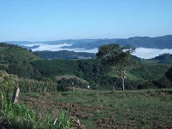 VISTA DA REGIO DE PROGRESSO-FOTO:JOSIAS PORCIUNCULA O - PROGRESSO - RS