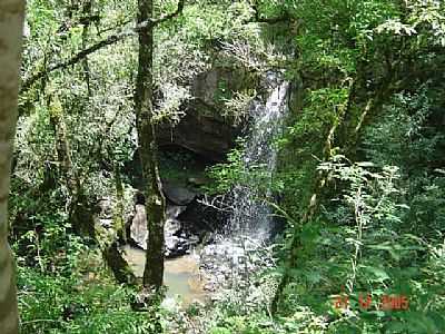 CASCATA RIO PRIMAVERA - PROTSIO ALVES - RS