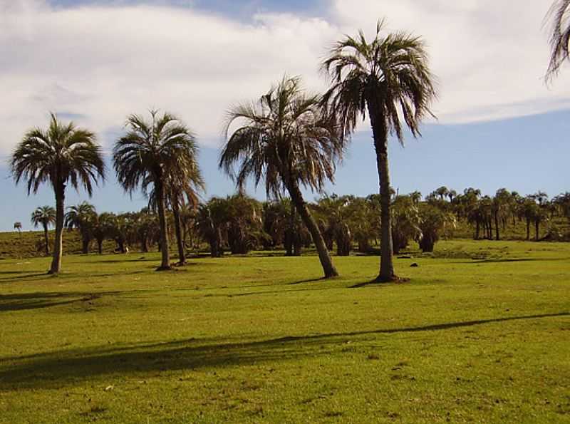 BUTIAZAL - FOTO PREFEITURA MUNICIPAL - QUARA - RS