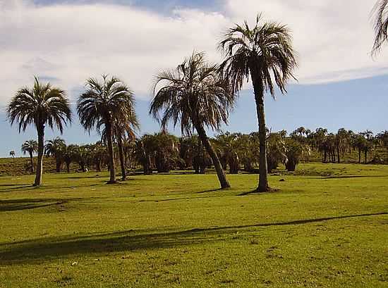 QUARA-RS-BURITIZAL - QUARA - RS