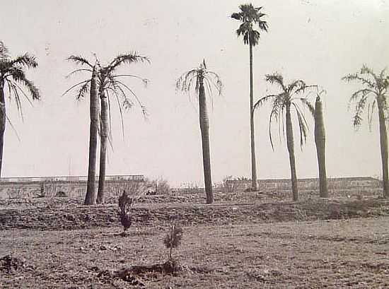 QUARA-RS-FOTOS HISTRICAS:PRAA DA PREFEITURA EM 1900  - QUARA - RS